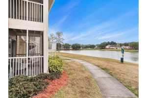 209 Lake Brook Cir, Brandon, FL 33511, Sold 05/25/23