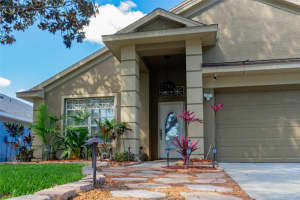19503 Morden Blush Dr Lutz, FL 33558 Sold 05/24/23