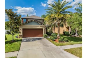 19151 Alexandrea Lee Ct, Land O' Lakes, FL 34638, Sold 05/18/23