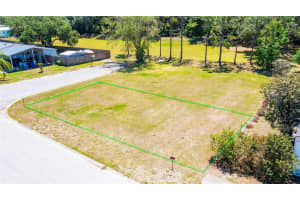  CHRIS DR., WESLEY CHAPEL, FL 33543 - MLS#MFRT3441446