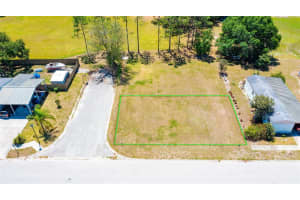  CHRIS DR., WESLEY CHAPEL, FL 33543 - MLS#MFRT3441446