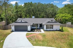 3423 BLOOMINGDALE OAKS DRIVE, VALRICO, FL 33596 Sold 06/16/23