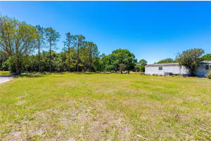  CHRIS DR., WESLEY CHAPEL, FL 33543 - MLS#MFRT3441627