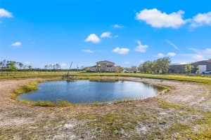 31850 Clay Gully Road, Myakka City, Florida 34251