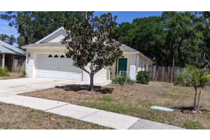 6914 SUMMER HARBOR LANE, RIVERVIEW, FL 33578 Sold 05/19/23