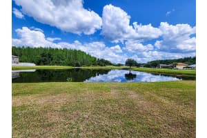 18119 BAHAMA BAY DRIVE, TAMPA, FL 33647 Sold 06/30/23