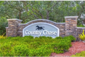 12438 COUNTRY WHITE CIRCLE, TAMPA, FL 33635 Sold 05/23/23