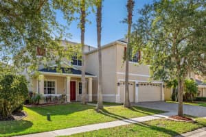 20015 DAYTONA WAY, TAMPA, FL 33647 Sold 05/09/24
