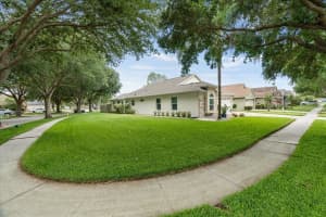 19502 MORDEN BLUSH DRIVE, LUTZ, FL 33558 Sold 05/19/23