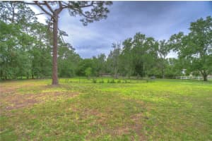 7753 TALLOWTREE DRIVE, WESLEY CHAPEL, FL 33544 Sold 08/04/23