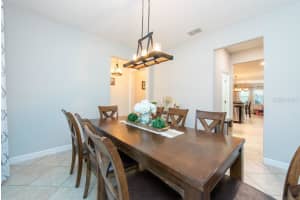 14256 BLUE DASHER DRIVE, RIVERVIEW, FL 33569 Sold 07/03/23
