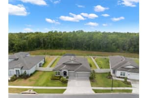 18078 ROMANESQUE COURT, SPRING HILL, FL 34610 Sold 07/27/23