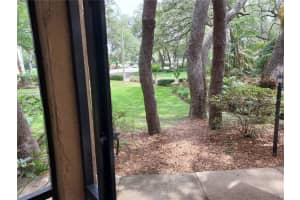 14205 SHADOW MOSS LANE, TAMPA, FL 33613 Sold 06/29/23