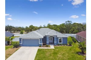 3740 FANTASY WAY, BROOKSVILLE, FL 34604 Sold 06/23/23