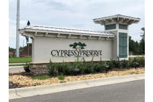 18617 HUNTERS MEADOW WALK, LAND O LAKES, FL 34638 Sold 07/11/23