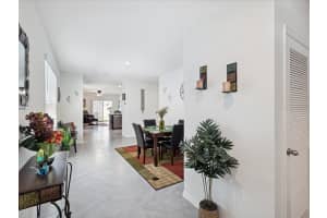 16050 Soft Fern Trace, Odessa, Florida 33556