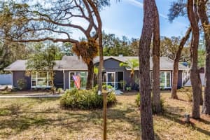 11208 LEPRECHAUN DRIVE, RIVERVIEW, FL 33569 Sold 06/30/23