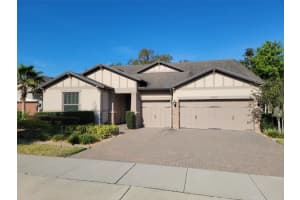 10409 SCARLET CHASE DRIVE, RIVERVIEW, FL 33569 Sold 06/29/23