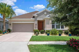 17616 BUCKINGHAM GARDEN DRIVE, LITHIA, FL 33547 Sold 06/22/23