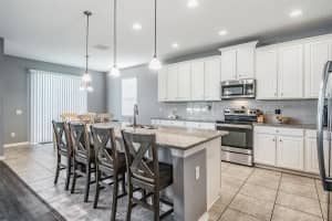 11438 AMAPOLA BLOOM CT, RIVERVIEW, FL 33579 Sold 08/14/23
