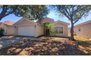4310 HORSESHOE PICK LANE, VALRICO, FL 33594 Sold 06/21/23