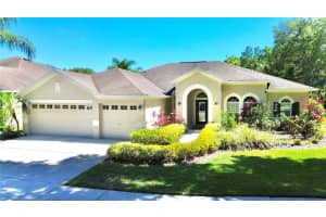 15206 OCTAVIA LANE, ODESSA, FL 33556 Sold 08/17/23