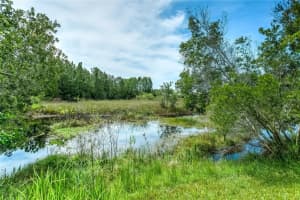 20926 RUBY RED WAY, LAND O LAKES, FL 34637 Sold 06/30/23
