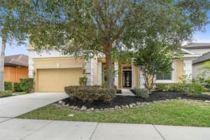 8009 HAMPTON GLEN DRIVE, TAMPA, FL 33647 Sold 10/07/23