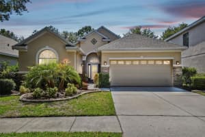 17906 TIMBER VIEW STREET, TAMPA, FL 33647 Sold 07/07/23