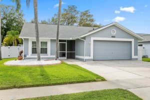 8816 HAMPDEN DRIVE, TAMPA, FL 33626 Sold 06/14/23