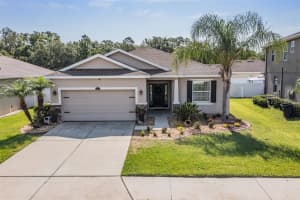 2712 HOLLY BLUFF COURT, PLANT CITY, FL 33563 Sold 06/08/23