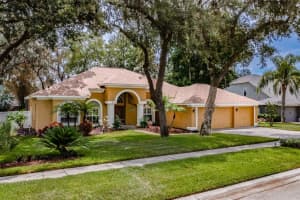 10131 PADDOCK OAKS DRIVE, RIVERVIEW, FL 33569 Sold 09/01/23