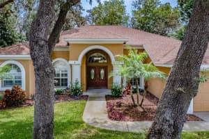 10131 PADDOCK OAKS DRIVE, RIVERVIEW, FL 33569 Sold 09/01/23