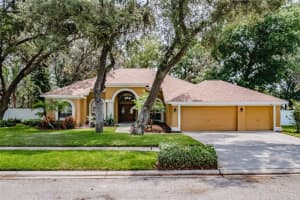 10131 PADDOCK OAKS DRIVE, RIVERVIEW, FL 33569 Sold 09/01/23