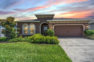 18740 HUNTERS MEADOW WALK, LAND O LAKES, FL 34638 Sold 06/21/23