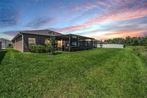 18740 HUNTERS MEADOW WALK, LAND O LAKES, FL 34638 Sold 06/21/23