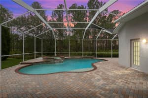 17858 ARBOR GREENE DRIVE, TAMPA, FL 33647 Sold 07/25/23
