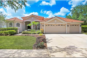 10201 ARBOR SIDE DRIVE, TAMPA, FL 33647 Sold 06/29/23