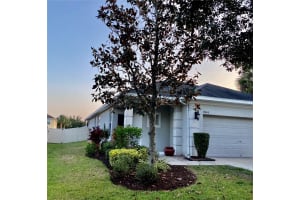 17414 NEW CROSS CIRCLE, LITHIA, FL 33547 Sold 07/19/23