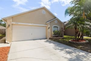 30327 BIRDHOUSE DRIVE, WESLEY CHAPEL, FL 33545 Sold 09/29/23