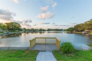 8225 FISHHAWK AVENUE, NEW PORT RICHEY, FL 34653 Sold 07/13/23