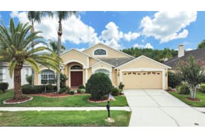 18125 SWEET JASMINE DRIVE, TAMPA, FL 33647 Sold 07/11/23