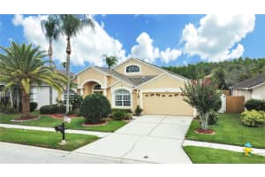 18125 SWEET JASMINE DRIVE, TAMPA, FL 33647 Sold 07/11/23
