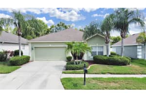 6155 Desert Peace Avenue, Land O Lakes, Florida 34639