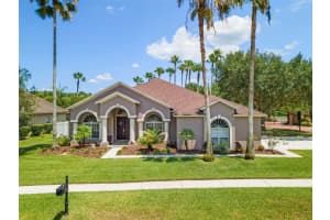 18201 WIMBLEDON GREEN PLACE, TAMPA, FL 33647 Sold 07/05/23