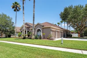 18201 WIMBLEDON GREEN PLACE, TAMPA, FL 33647 Sold 07/05/23