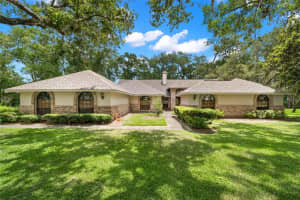 17517 Mallard Court, Lutz, Florida 33559