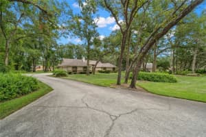 17517 Mallard Court, Lutz, Florida 33559