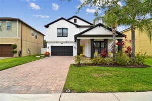 19428 PADDOCK VIEW DRIVE, TAMPA, FL 33647 Sold 09/19/23