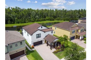 19428 PADDOCK VIEW DRIVE, TAMPA, FL 33647 Sold 09/19/23